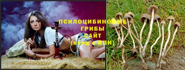 гидра Нягань