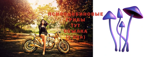 соль курить ск Нязепетровск