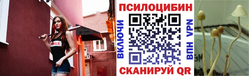 блэк спрут tor  купить наркотики сайты  Валуйки  Галлюциногенные грибы прущие грибы 